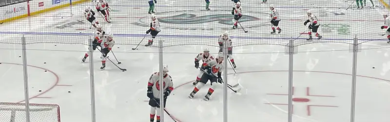 Coachella Valley Firebirds