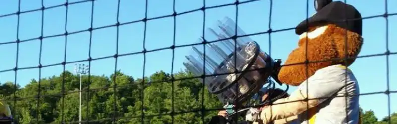 Sussex County Miners