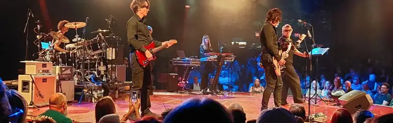 The Psychedelic Furs