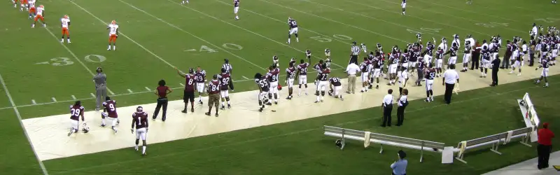 Texas Southern Tigers