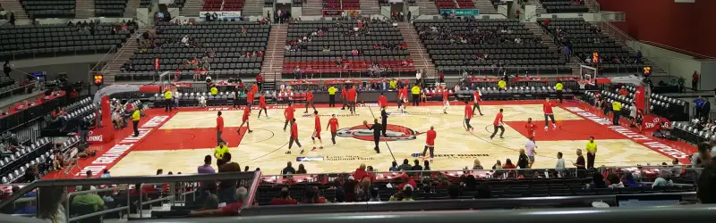 Rio Grande Valley Vipers
