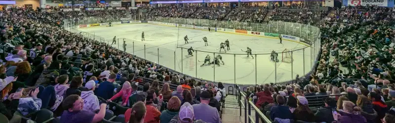 Everett Silvertips