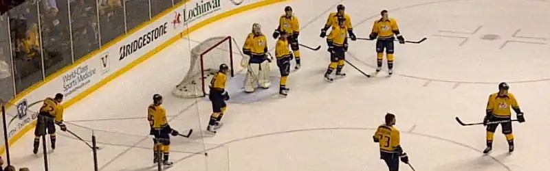 Nashville Predators