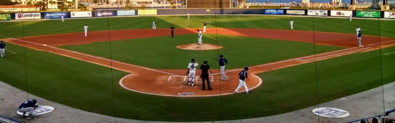 Pensacola Blue Wahoos