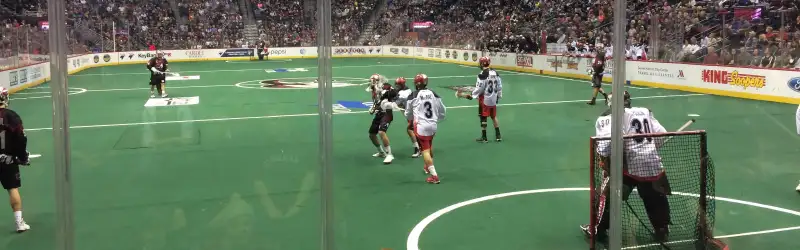 Colorado Mammoth