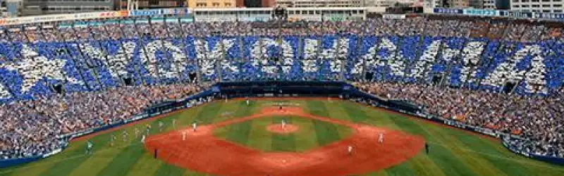 Yokohama DeNA BayStars