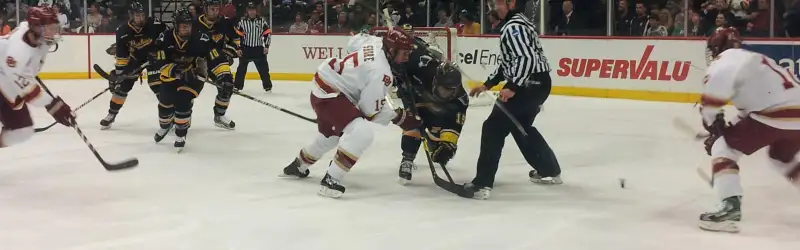 Denver Pioneers
