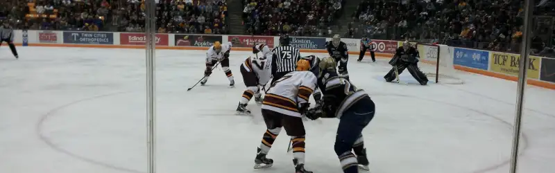 Minnesota Golden Gophers