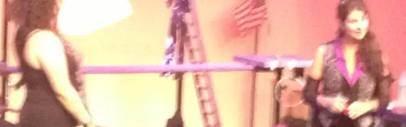 The Amazing Acro-Cats With The Rock Cats