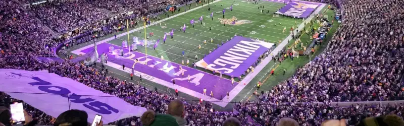 Minnesota Vikings