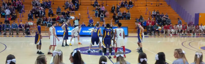 Wilfrid Laurier Golden Hawks