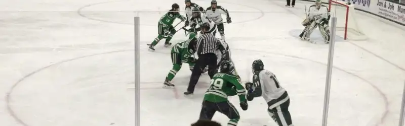 Michigan State Spartans