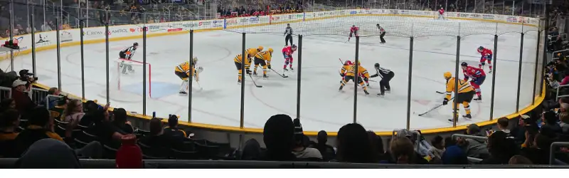 Providence Bruins