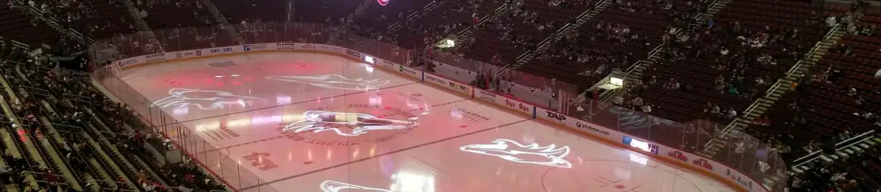 Desert Diamond Arena