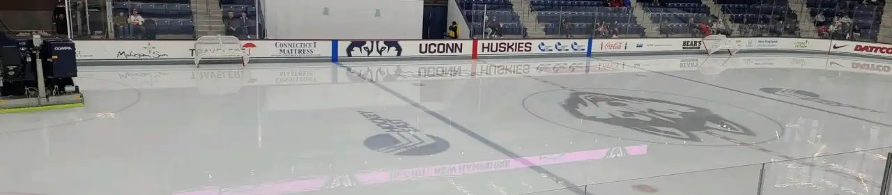 Toscano Family Ice Forum