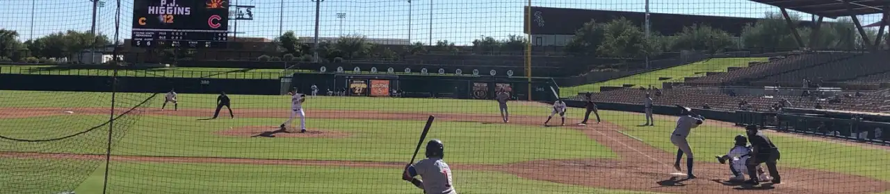 Glendale Desert Dogs