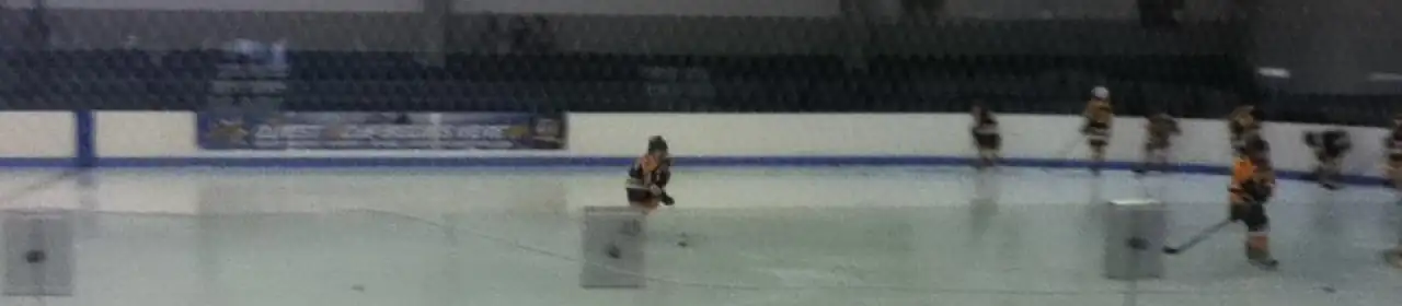 Aleixo Skating Arena