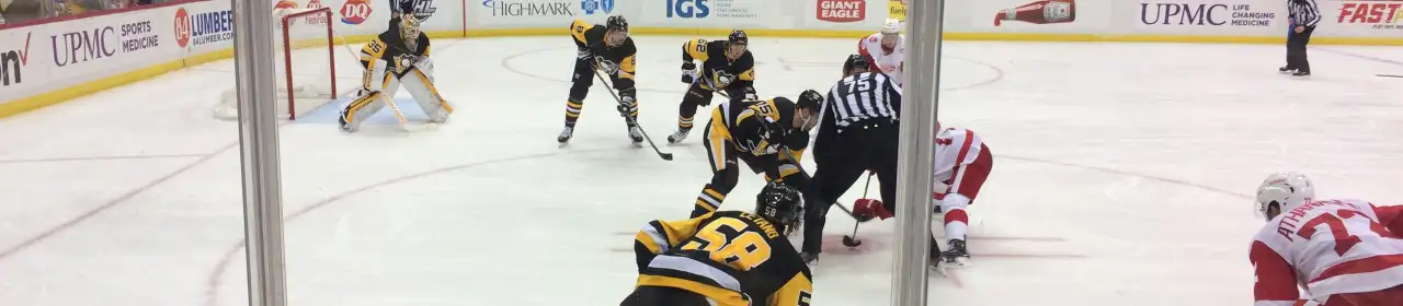 Pittsburgh Penguins