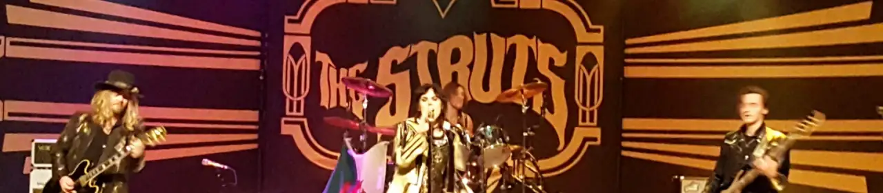 The Struts