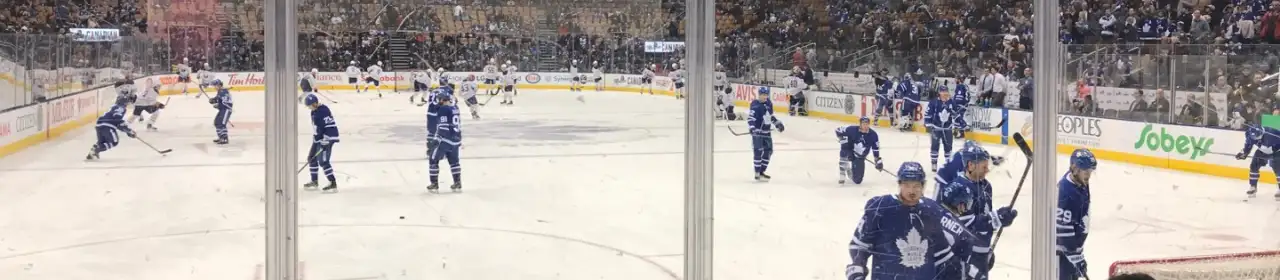 toronto maple leafs