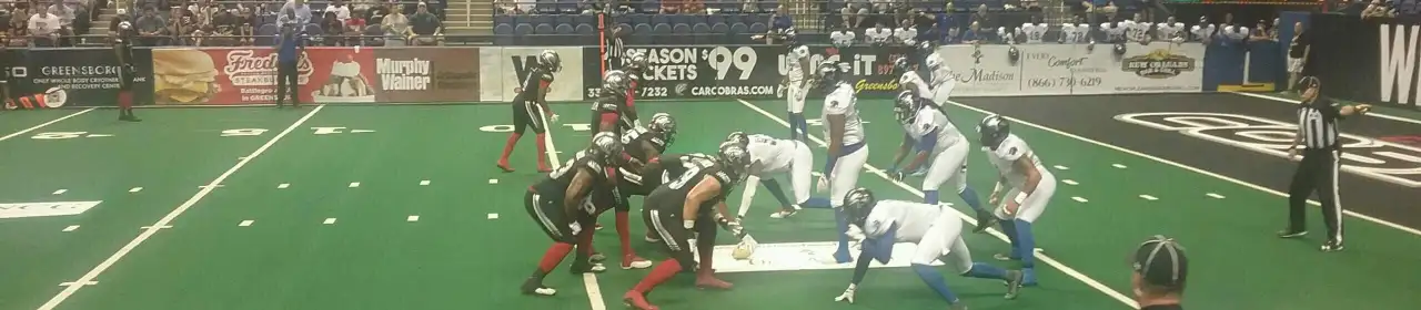 Carolina Cobras