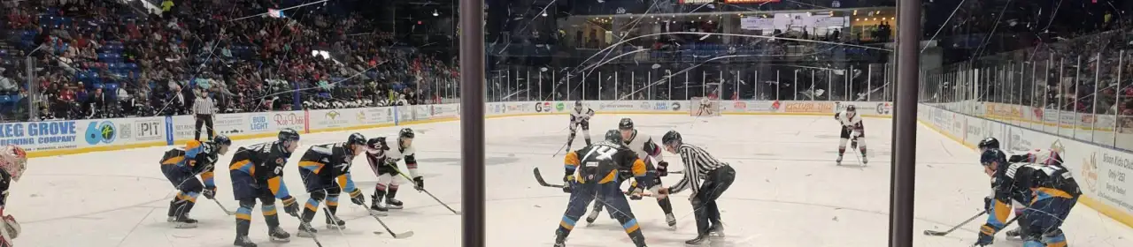 Grossinger Motors Arena