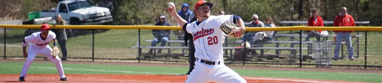 stony brook seawolves