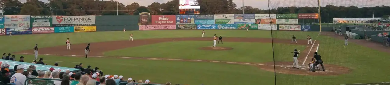 Arthur W. Perdue Stadium