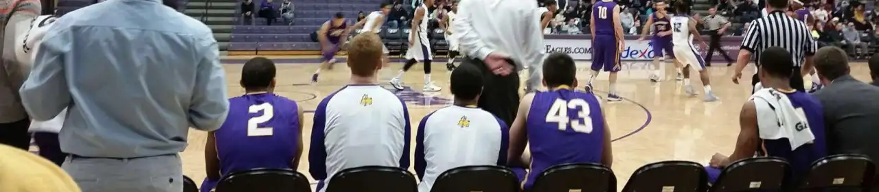 Niagara Purple Eagles