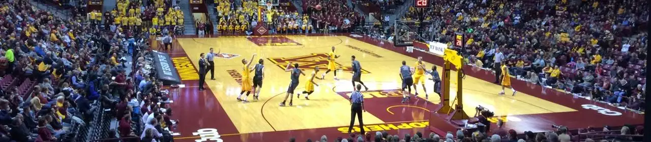 Minnesota Golden Gophers