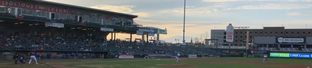 Delta Dental Stadium