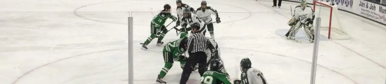 Michigan State Spartans