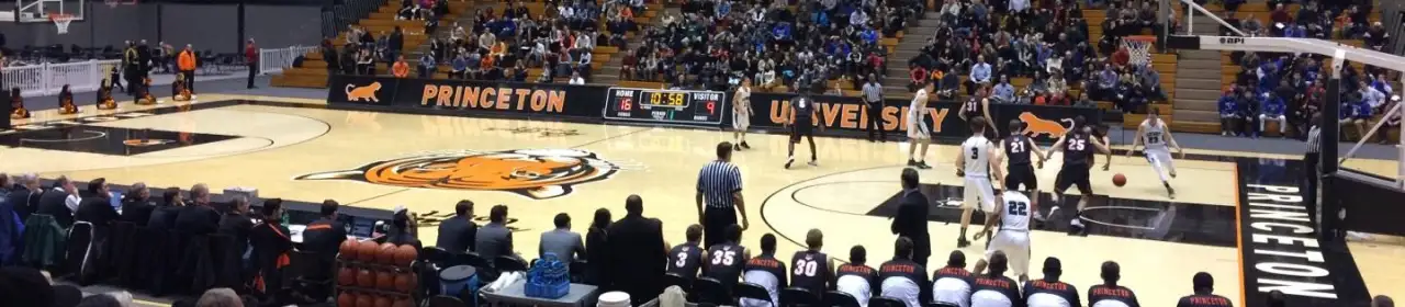 Princeton Tigers