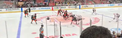 Anaheim Ducks