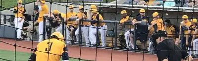 West Virginia Mountaineers