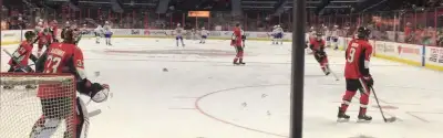Ottawa Senators