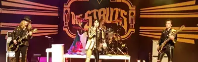 The Struts