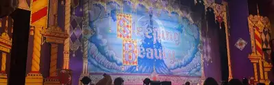 Sleeping Beauty, Panto