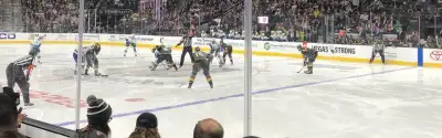 Vegas Golden Knights