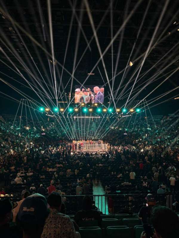 MGM Grand Garden Arena, bloc: 1, rangée: U, place: 13