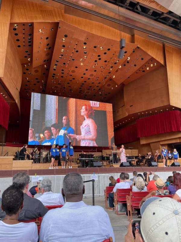 Jay Pritzker Pavilion, rangée: 6