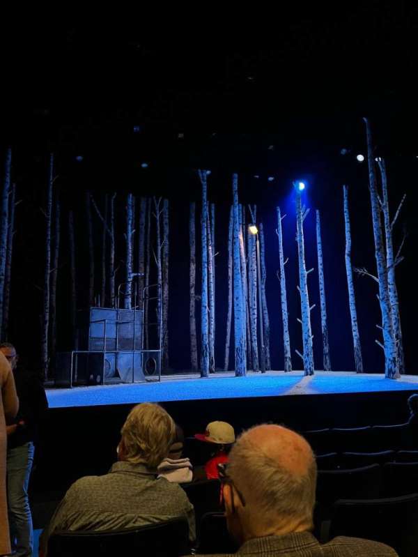 The Roda Theatre at the Berkeley REP, bloc: Orchestra, rangée: E, place: 115