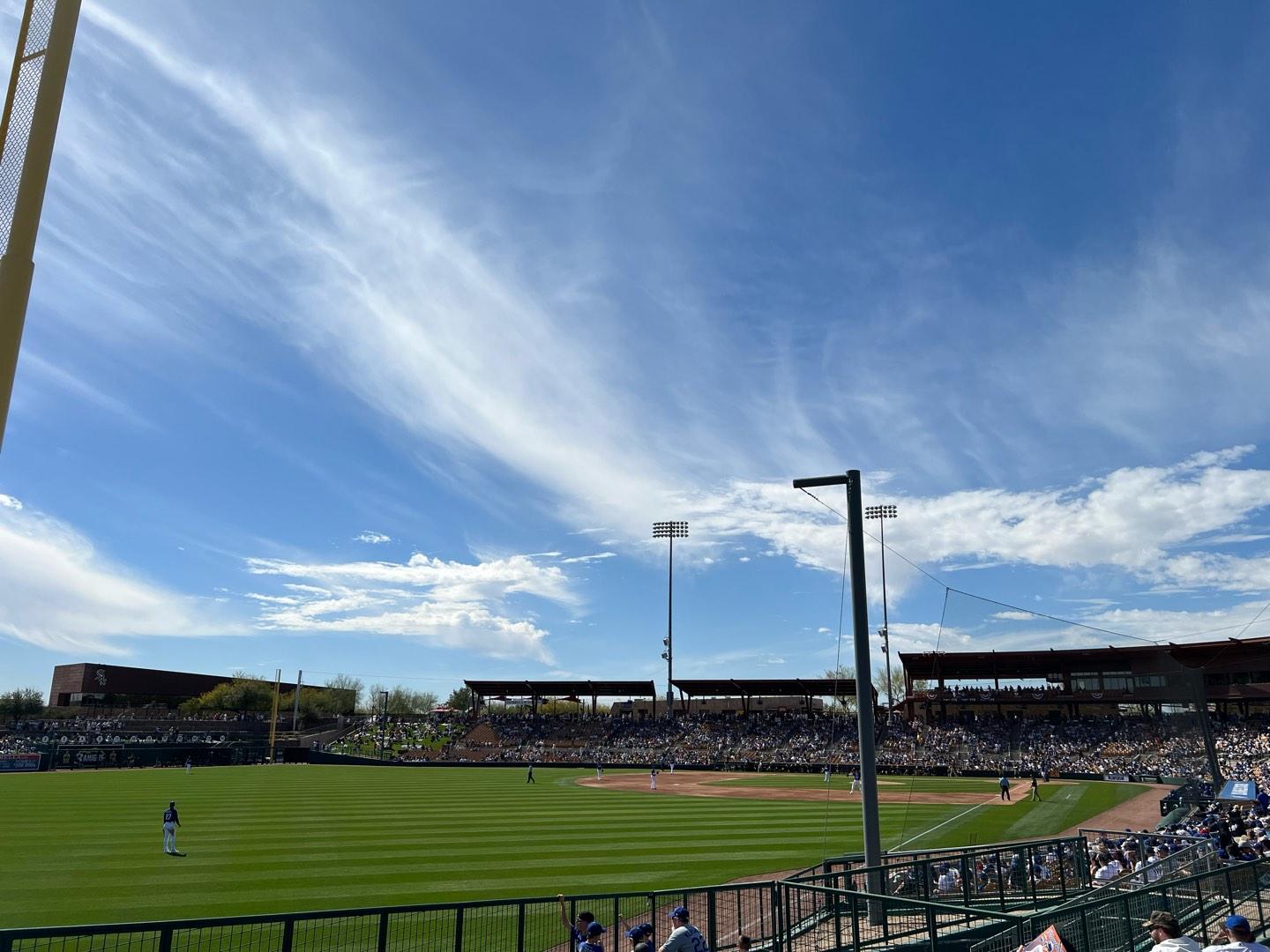 Camelback Ranch Bloc Lawn 