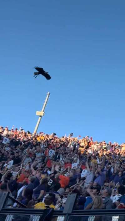 Jordan-Hare Stadium bloc 112