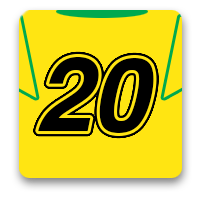 Norwich City Fan