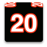 Cincinnati Bengals Fan