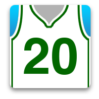 Boston Celtics Fan