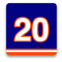 New York Islanders Fan