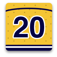 Nashville Predators Fan