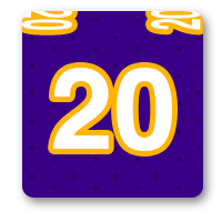 Minnesota Vikings Fan